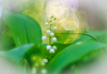 Similar image 21441035