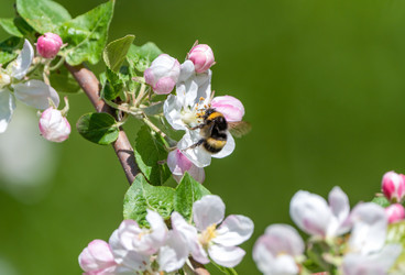 Similar image 21441038