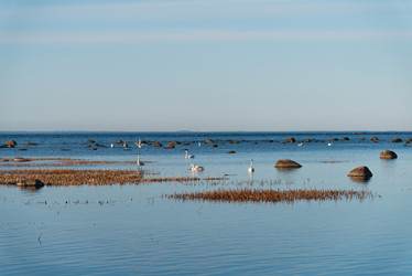 Similar image 21440058