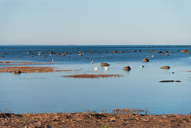 Similar image 21440060