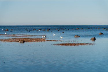 Similar image 21440062