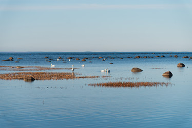 Similar image 21440063