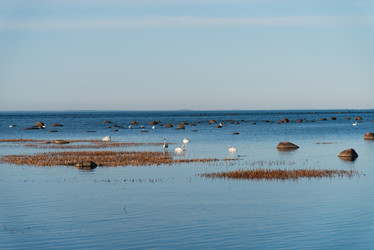 Similar image 21440064