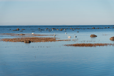 Similar image 21440065