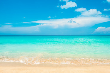 Similar image 21438750