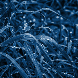 Similar image 21438769