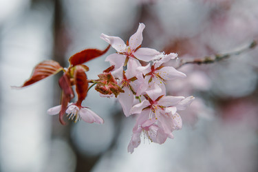 Similar image 21437718