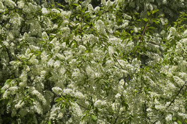 Similar image 21439549