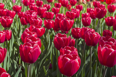 Similar image 21439550