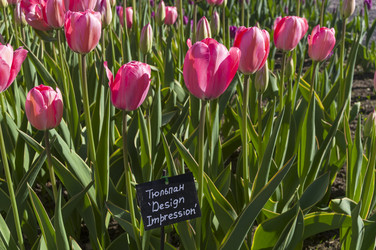 Similar image 21439551