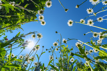 Similar image 21441414