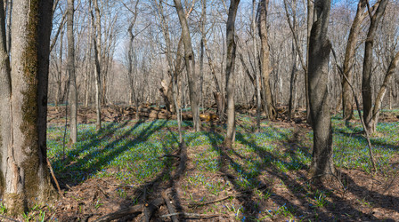 Similar image 21441418