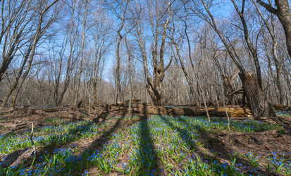 Similar image 21441420