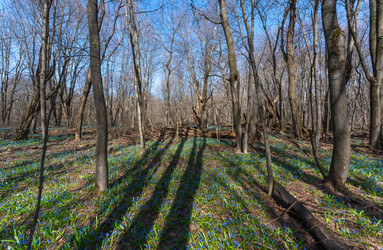 Similar image 21441639