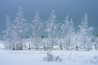 Similar image 21441641