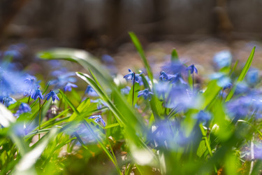 Similar image 21441643