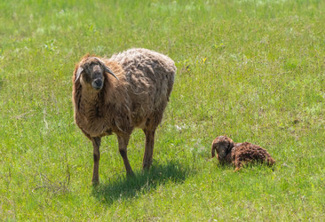 Similar image 21441647