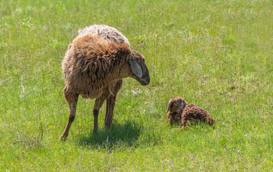 Similar image 21441648