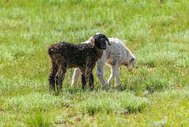 Similar image 21441650