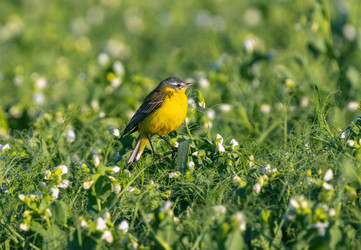 Similar image 21441651