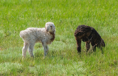 Similar image 21441653