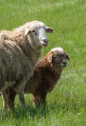 Similar image 21441654