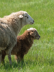 Similar image 21441656