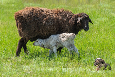 Similar image 21441659