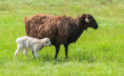 Similar image 21441660