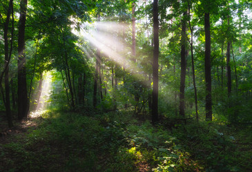 Similar image 21441666