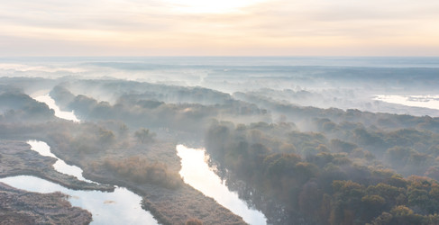 Similar image 21441833