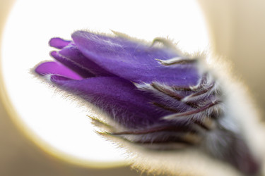 Similar image 21441841