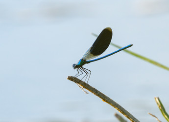 Similar image 21441845