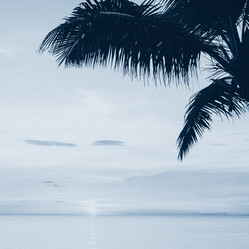 Similar image 21440073