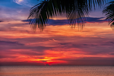 Similar image 21440081