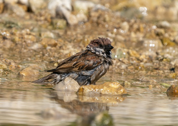 Similar image 21441039