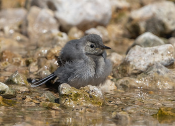 Similar image 21441041