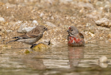 Similar image 21441043