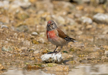 Similar image 21441044