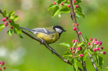 Similar image 21441045