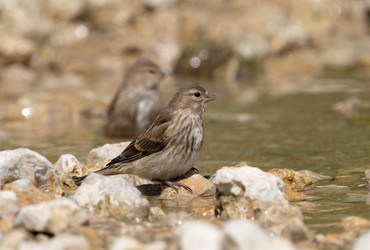 Similar image 21441046