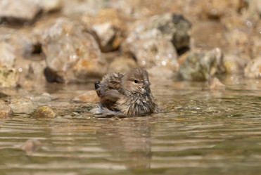 Similar image 21441048