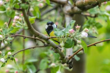 Similar image 21441053