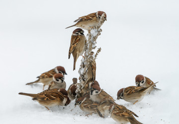 Similar image 21441057