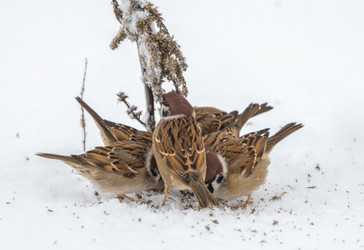 Similar image 21441060