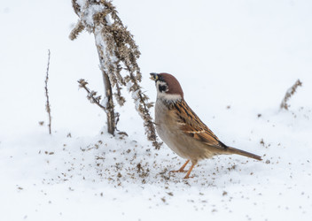 Similar image 21441062