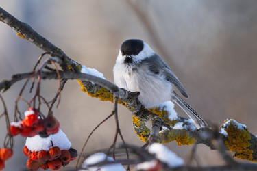 Similar image 21441063