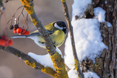 Similar image 21441067