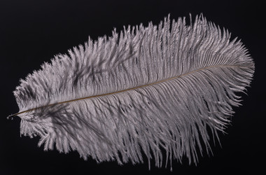 Similar image 21441217