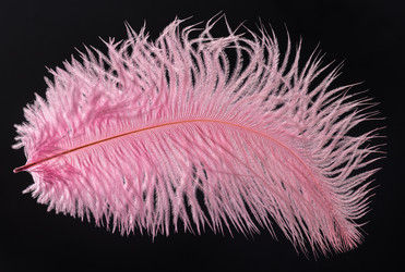 Similar image 21441221